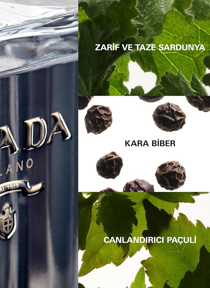 Amazon | PRADA(プラダ) プラダ オム オードトワレ 50mL 50